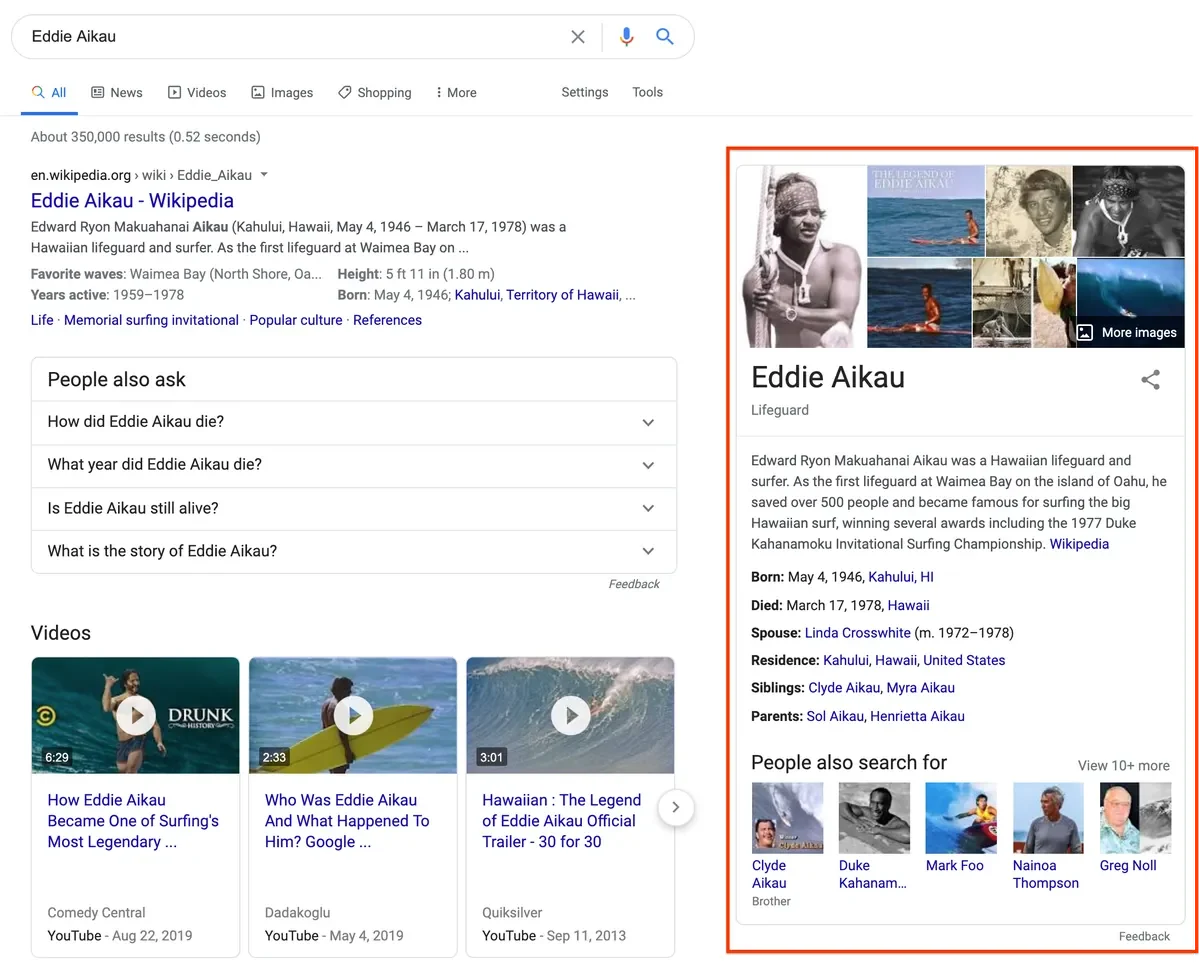 Google Knowledge Panel entity interface showing verified attributes, social profiles, and Knowledge Graph connections for brand disambiguation